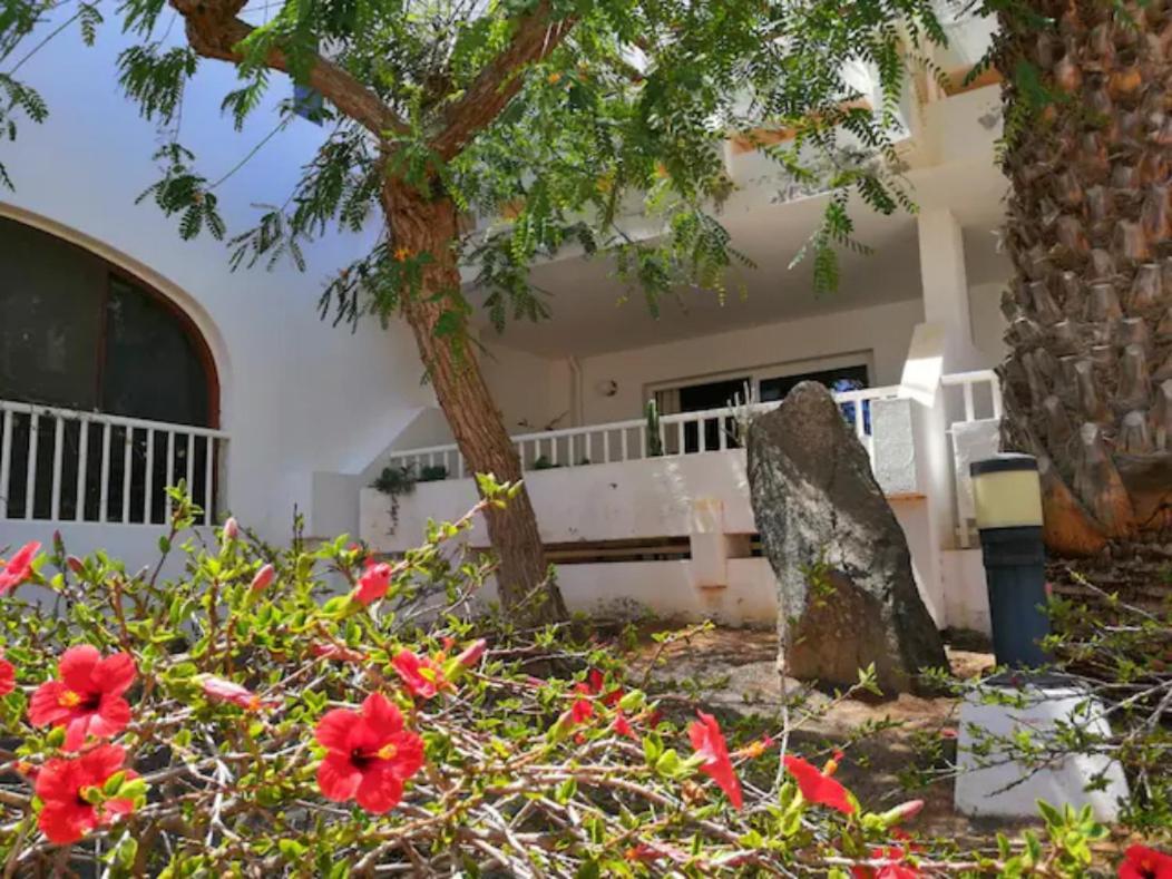 Comfortable Cleo Apartment With Large Terrace Costa Teguise Exteriér fotografie